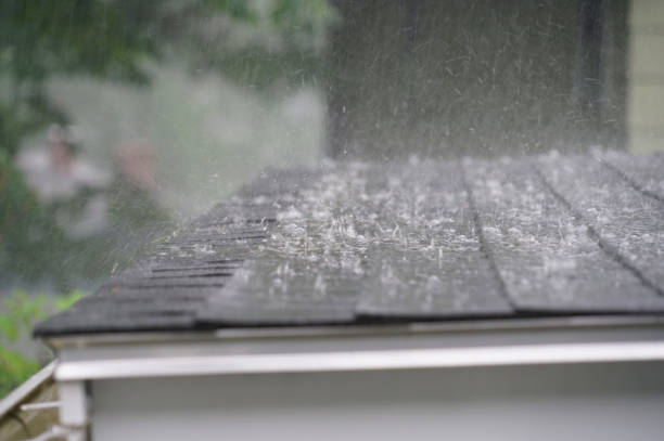 Best Roof Maintenance and Cleaning  in Concord, AL