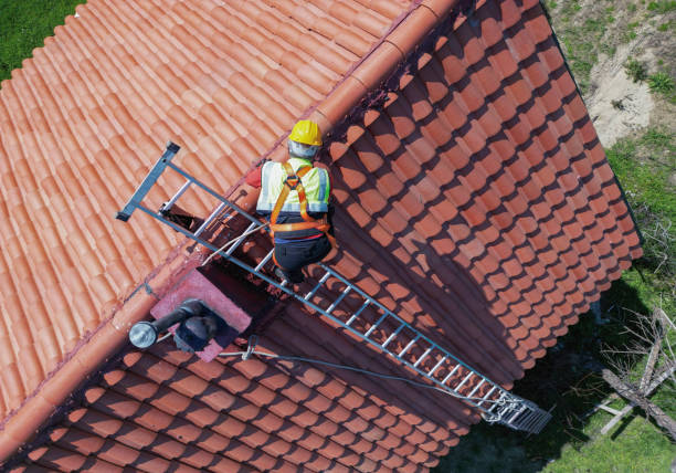 Best Roof Moss and Algae Removal  in Concord, AL