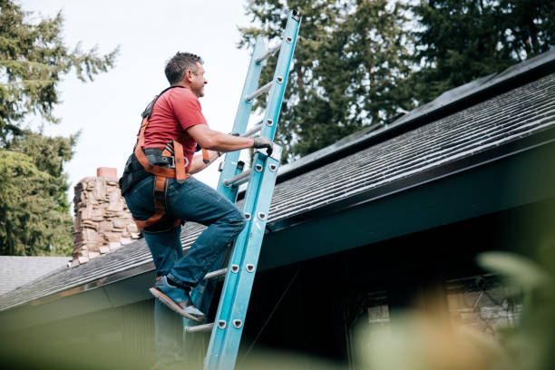 Best Chimney Flashing Repair  in Concord, AL